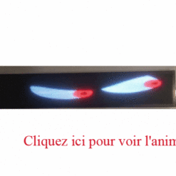 Plaque Prénom Lumineuse pour Routier - INNOV ECLAIR